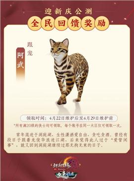 天龙八部私服缓存模板